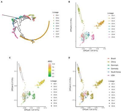 Beyond to the Stable: Role of the Insertion Sequences as Epidemiological Descriptors in Corynebacterium striatum